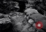 Image of Sino-Chinese war prisoners China, 1963, second 21 stock footage video 65675027994