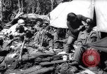Image of Sino-Chinese war prisoners China, 1963, second 33 stock footage video 65675027994