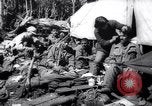 Image of Sino-Chinese war prisoners China, 1963, second 34 stock footage video 65675027994
