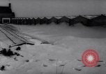 Image of greenhouses Netherlands, 1963, second 7 stock footage video 65675027995