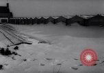 Image of greenhouses Netherlands, 1963, second 8 stock footage video 65675027995