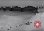 Image of greenhouses Netherlands, 1963, second 11 stock footage video 65675027995
