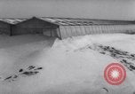 Image of greenhouses Netherlands, 1963, second 13 stock footage video 65675027995