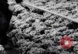 Image of greenhouses Netherlands, 1963, second 49 stock footage video 65675027995