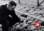 Image of greenhouses Netherlands, 1963, second 53 stock footage video 65675027995