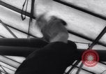 Image of greenhouses Netherlands, 1963, second 57 stock footage video 65675027995