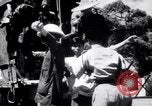 Standbild das Leben in Hong Kong Hong Kong, 1949, aus Sekunde 44 historischem Filmmaterial Videoclip 65675028000