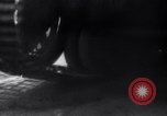 Image of German troops Belgium, 1940, second 27 stock footage video 65675028013