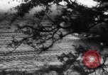 Image of German troops Belgium, 1940, second 28 stock footage video 65675028013