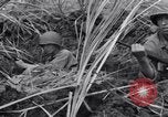 Standbild USA Soldaten Guam, 1944, aus Sekunde 50 historischem Filmmaterial Videoclip 65675028022