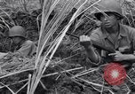 Standbild USA Soldaten Guam, 1944, aus Sekunde 52 historischem Filmmaterial Videoclip 65675028022