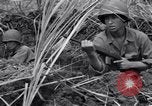 Standbild USA Soldaten Guam, 1944, aus Sekunde 53 historischem Filmmaterial Videoclip 65675028022