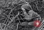 Standbild USA Soldaten Guam, 1944, aus Sekunde 58 historischem Filmmaterial Videoclip 65675028022