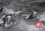 Standbild erfassten Einheimischen Guam, 1944, aus Sekunde 47 historischem Filmmaterial Videoclip 65675028026