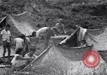 Standbild erfassten Einheimischen Guam, 1944, aus Sekunde 48 historischem Filmmaterial Videoclip 65675028026