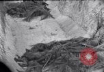 Standbild Wracks von Panzern Marshall Inseln, 1944, aus Sekunde 5 historischem Filmmaterial Videoclip 65675028033