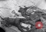 Standbild Wracks von Panzern Marshall Inseln, 1944, aus Sekunde 6 historischem Filmmaterial Videoclip 65675028033