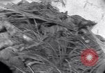 Standbild Wracks von Panzern Marshall Inseln, 1944, aus Sekunde 9 historischem Filmmaterial Videoclip 65675028033
