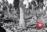 Standbild Wracks von Panzern Marshall Inseln, 1944, aus Sekunde 38 historischem Filmmaterial Videoclip 65675028033