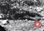 Standbild Wracks von Panzern Marshall Inseln, 1944, aus Sekunde 39 historischem Filmmaterial Videoclip 65675028033
