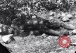 Standbild Wracks von Panzern Marshall Inseln, 1944, aus Sekunde 40 historischem Filmmaterial Videoclip 65675028033