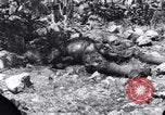 Standbild Wracks von Panzern Marshall Inseln, 1944, aus Sekunde 42 historischem Filmmaterial Videoclip 65675028033