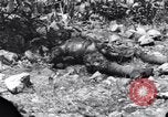Standbild Wracks von Panzern Marshall Inseln, 1944, aus Sekunde 43 historischem Filmmaterial Videoclip 65675028033
