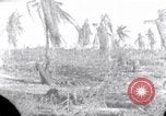 Standbild Wrack auf der Insel Marshall Inseln, 1944, aus Sekunde 3 historischem Filmmaterial Videoclip 65675028039