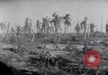 Standbild Wrack auf der Insel Marshall Inseln, 1944, aus Sekunde 9 historischem Filmmaterial Videoclip 65675028039