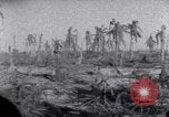 Standbild Wrack auf der Insel Marshall Inseln, 1944, aus Sekunde 10 historischem Filmmaterial Videoclip 65675028039