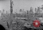 Standbild Wrack auf der Insel Marshall Inseln, 1944, aus Sekunde 12 historischem Filmmaterial Videoclip 65675028039