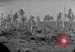 Standbild Wrack auf der Insel Marshall Inseln, 1944, aus Sekunde 21 historischem Filmmaterial Videoclip 65675028039