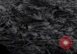 Standbild Wrack auf der Insel Marshall Inseln, 1944, aus Sekunde 28 historischem Filmmaterial Videoclip 65675028039