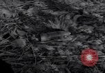 Standbild Wrack auf der Insel Marshall Inseln, 1944, aus Sekunde 30 historischem Filmmaterial Videoclip 65675028039
