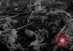Standbild Wrack auf der Insel Marshall Inseln, 1944, aus Sekunde 31 historischem Filmmaterial Videoclip 65675028039