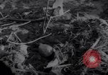 Standbild Wrack auf der Insel Marshall Inseln, 1944, aus Sekunde 32 historischem Filmmaterial Videoclip 65675028039