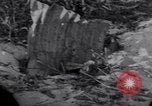 Standbild Wrack auf der Insel Marshall Inseln, 1944, aus Sekunde 56 historischem Filmmaterial Videoclip 65675028039
