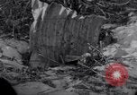 Standbild Wrack auf der Insel Marshall Inseln, 1944, aus Sekunde 58 historischem Filmmaterial Videoclip 65675028039