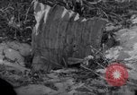 Standbild Wrack auf der Insel Marshall Inseln, 1944, aus Sekunde 59 historischem Filmmaterial Videoclip 65675028039