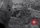 Standbild Wrack auf der Insel Marshall Inseln, 1944, aus Sekunde 60 historischem Filmmaterial Videoclip 65675028039