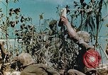 Standbild Marines behandeln Verletzte Saipan Nördliche Marianen, 1944, aus Sekunde 5 historischem Filmmaterial Videoclip 65675028042