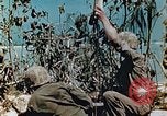 Standbild Marines behandeln Verletzte Saipan Nördliche Marianen, 1944, aus Sekunde 6 historischem Filmmaterial Videoclip 65675028042