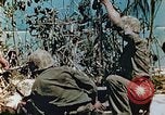 Standbild Marines behandeln Verletzte Saipan Nördliche Marianen, 1944, aus Sekunde 7 historischem Filmmaterial Videoclip 65675028042