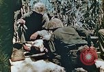 Standbild Marines behandeln Verletzte Saipan Nördliche Marianen, 1944, aus Sekunde 9 historischem Filmmaterial Videoclip 65675028042