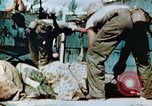 Standbild Marines behandeln Verletzte Saipan Nördliche Marianen, 1944, aus Sekunde 30 historischem Filmmaterial Videoclip 65675028042