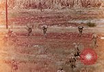 Image of U.S. marines in battle of Saipan Saipan Northern Mariana Islands, 1944, second 9 stock footage video 65675028047