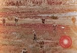 Image of U.S. marines in battle of Saipan Saipan Northern Mariana Islands, 1944, second 11 stock footage video 65675028047