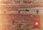 Image of U.S. marines in battle of Saipan Saipan Northern Mariana Islands, 1944, second 12 stock footage video 65675028047
