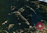 Image of U.S. marines in battle of Saipan Saipan Northern Mariana Islands, 1944, second 34 stock footage video 65675028047