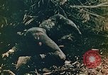 Image of U.S. marines in battle of Saipan Saipan Northern Mariana Islands, 1944, second 36 stock footage video 65675028047